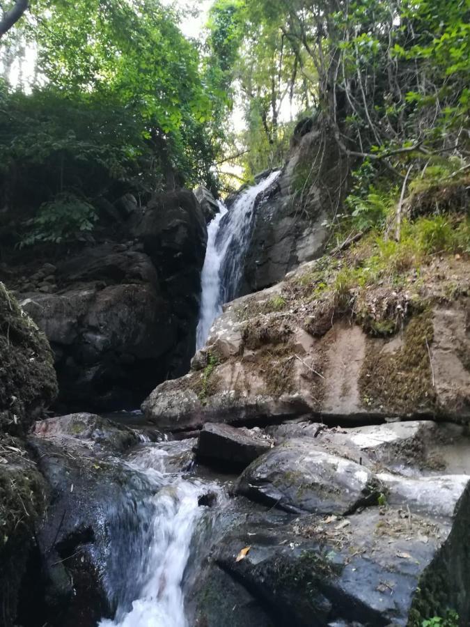 Quinta Da Portelada Пезу-да-Регуа Экстерьер фото